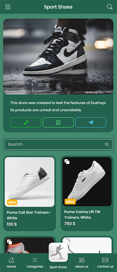 Sample of sport site made in ushopi site builder and store builder